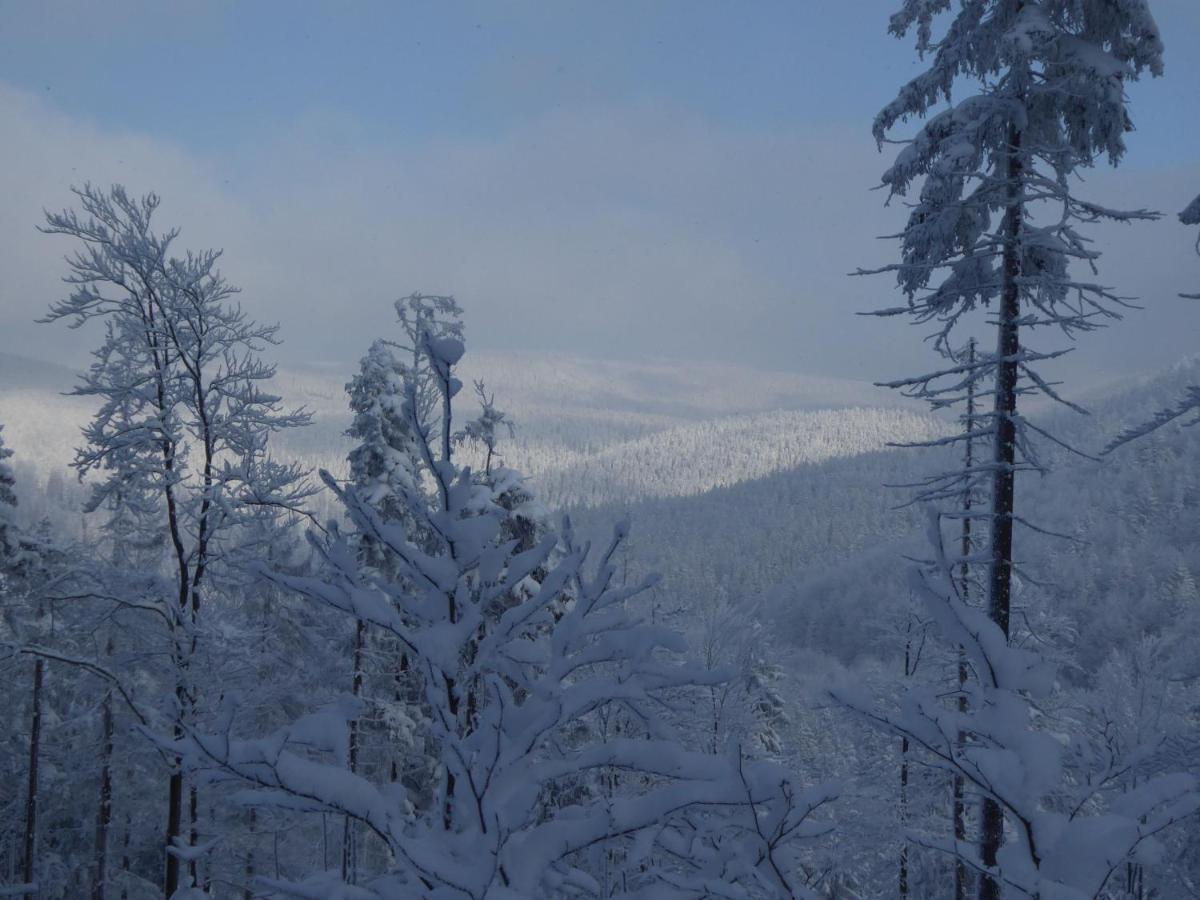 Pokoje Goscinne - Za Borem Zubrzyca Gorna Exterior foto