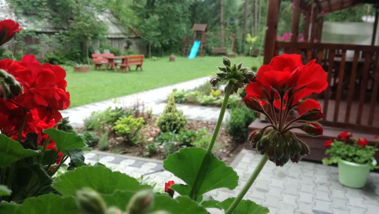 Pokoje Goscinne - Za Borem Zubrzyca Gorna Exterior foto